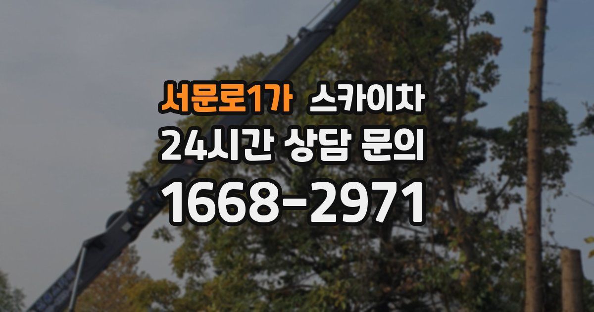 서문로1가 스카이차