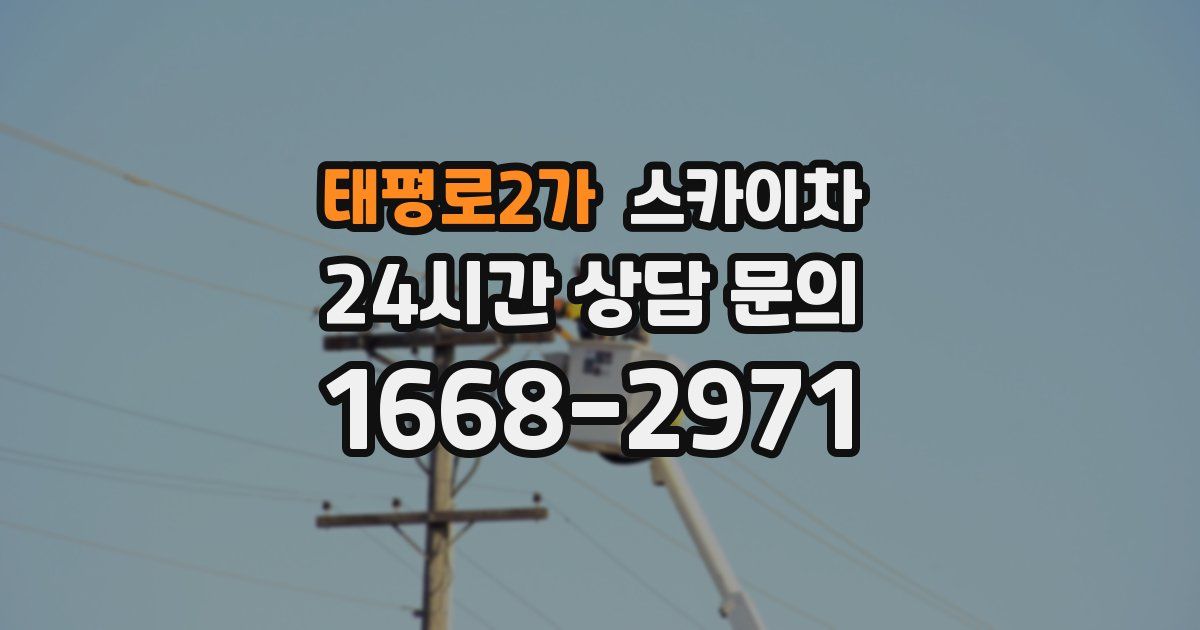 태평로2가 스카이차