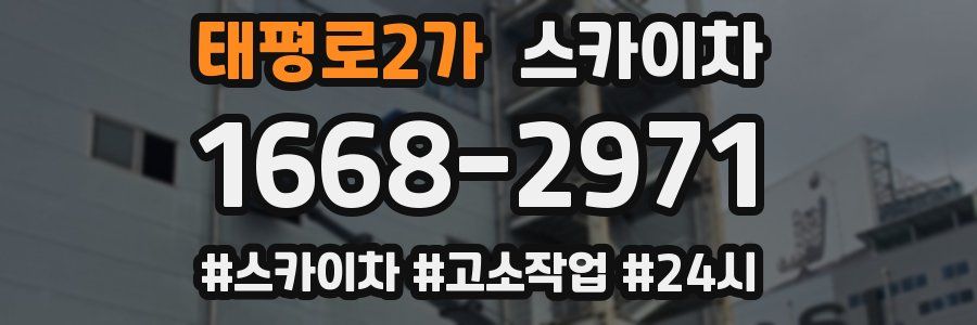 태평로2가 스카이차