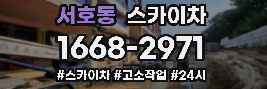 서호동 스카이차