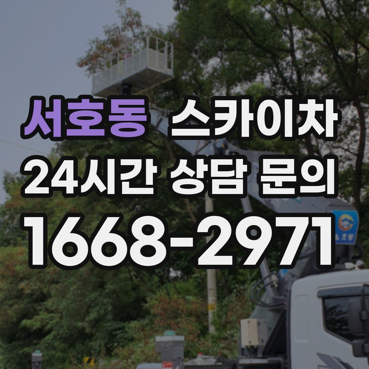 서호동 스카이차