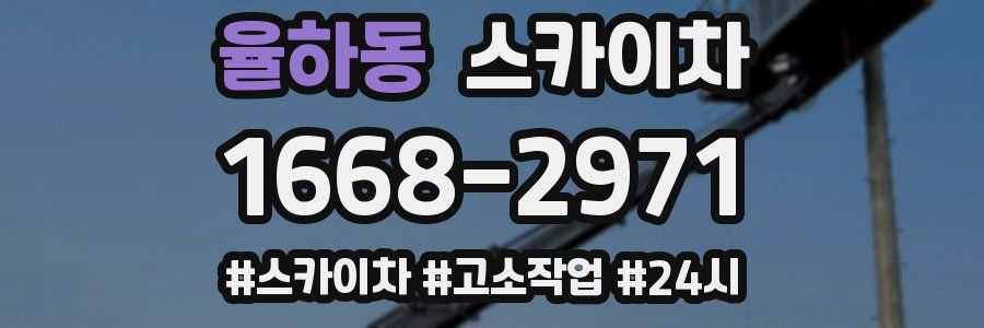 율하동 스카이차