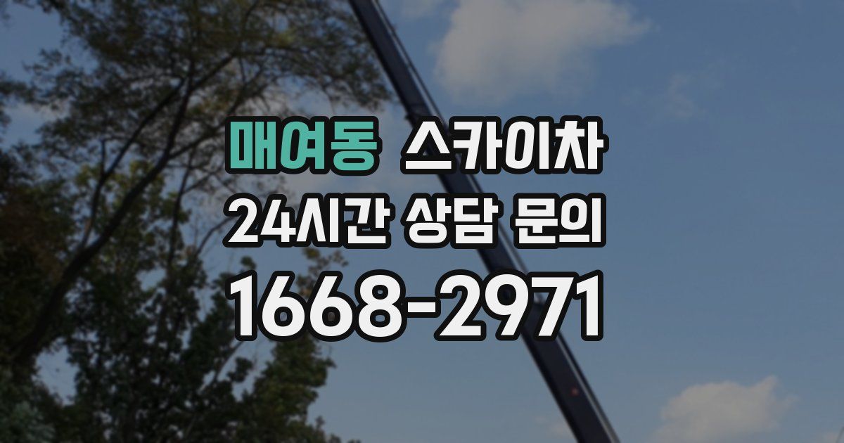 매여동 스카이차