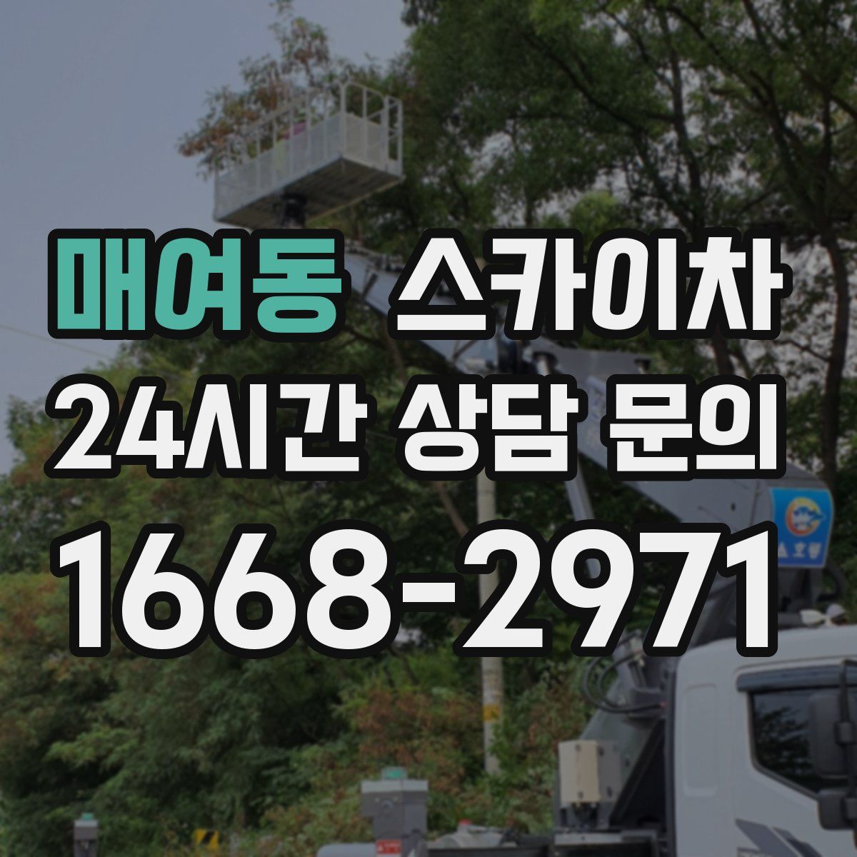 매여동 스카이차