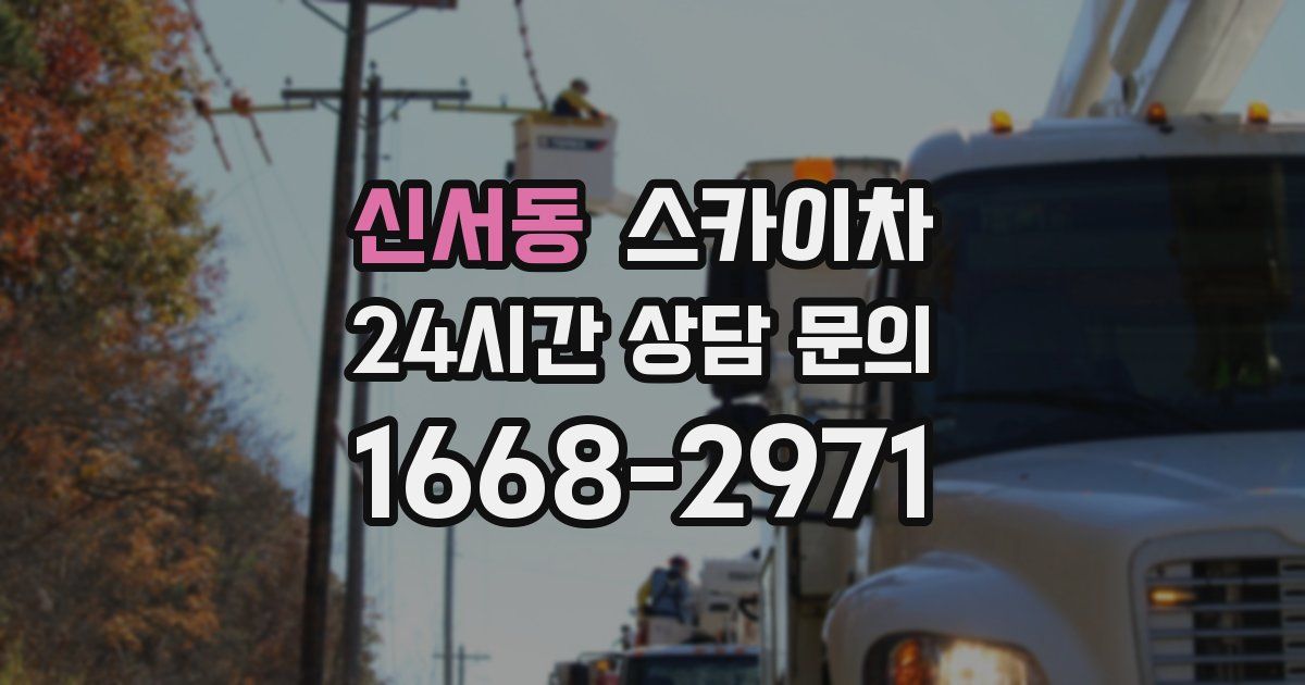 신서동 스카이차