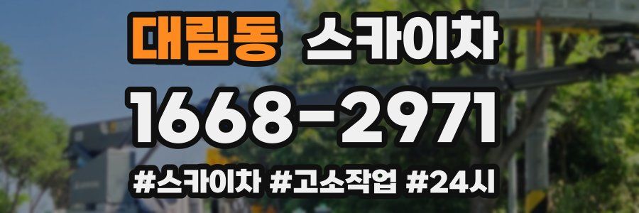 대림동 스카이차