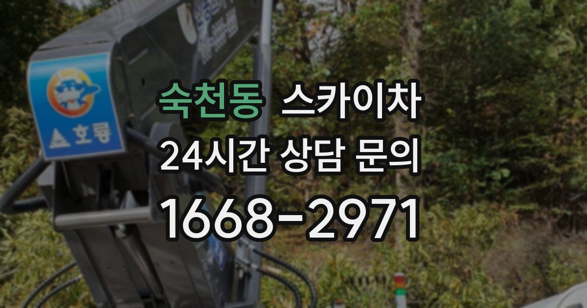 숙천동 스카이차