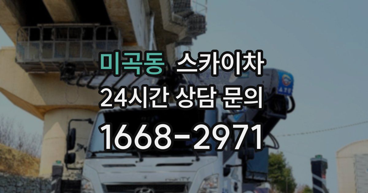 미곡동 스카이차