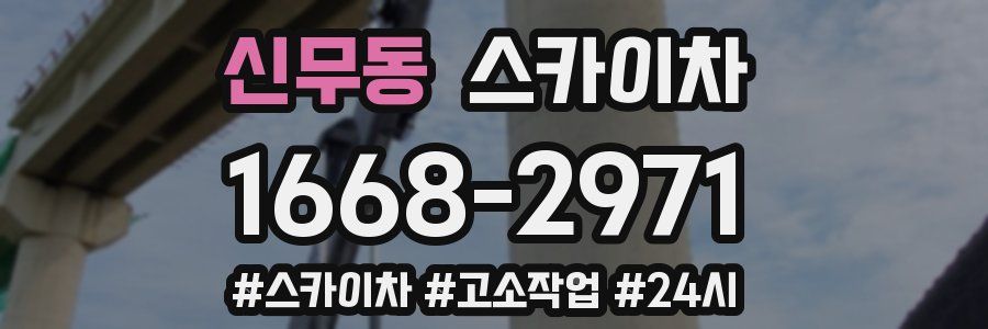 신무동 스카이차