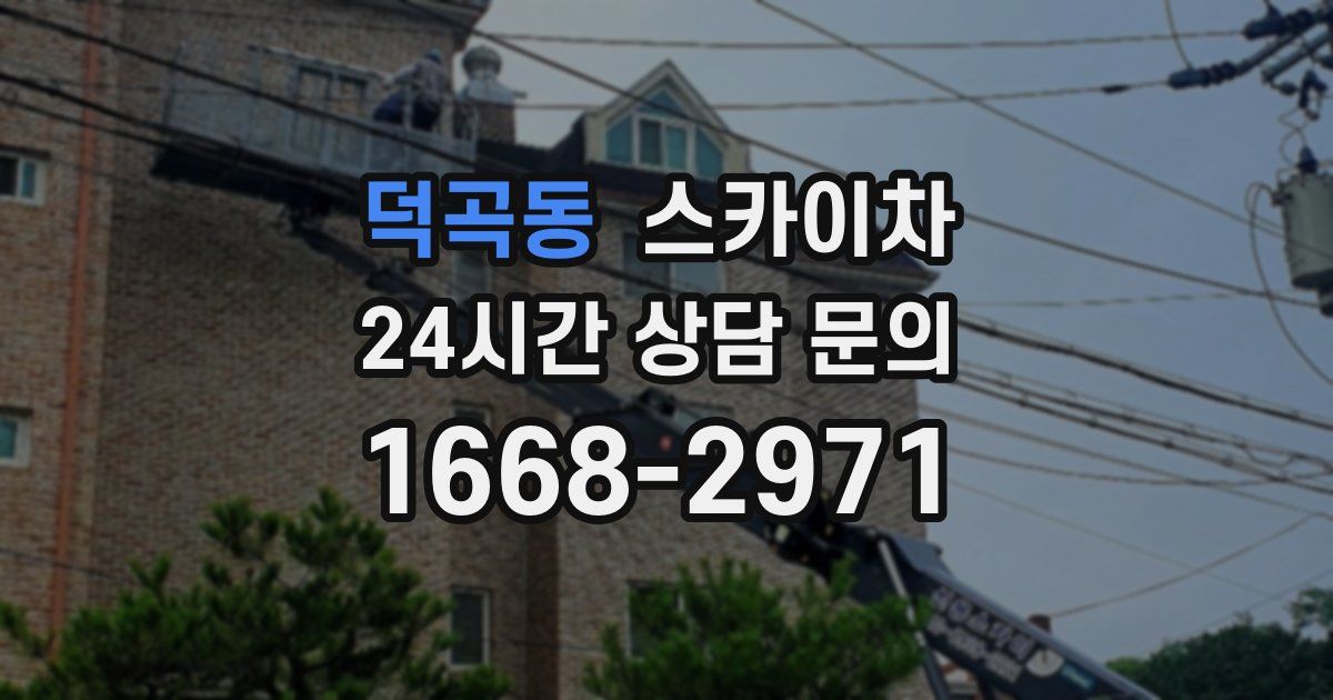 덕곡동 스카이차