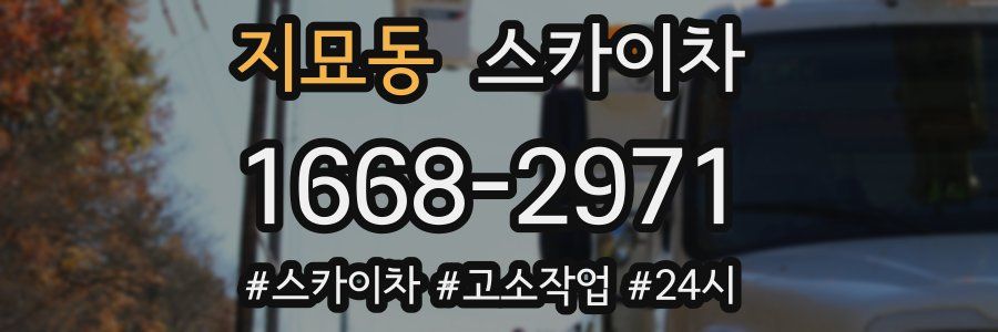 지묘동 스카이차