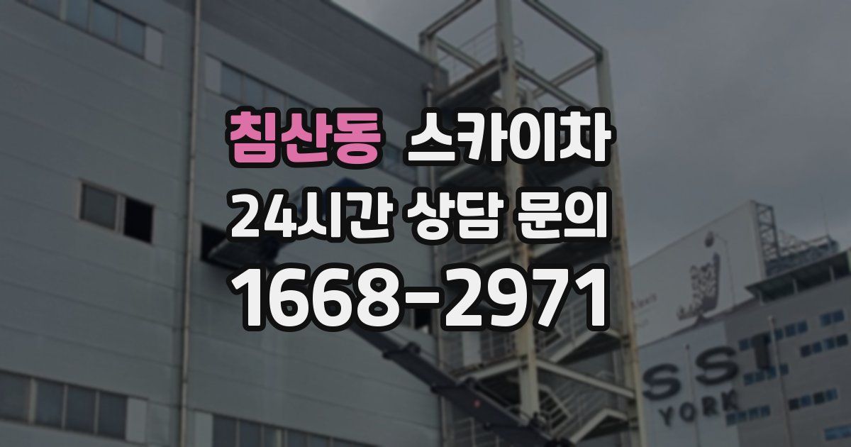 침산동 스카이차