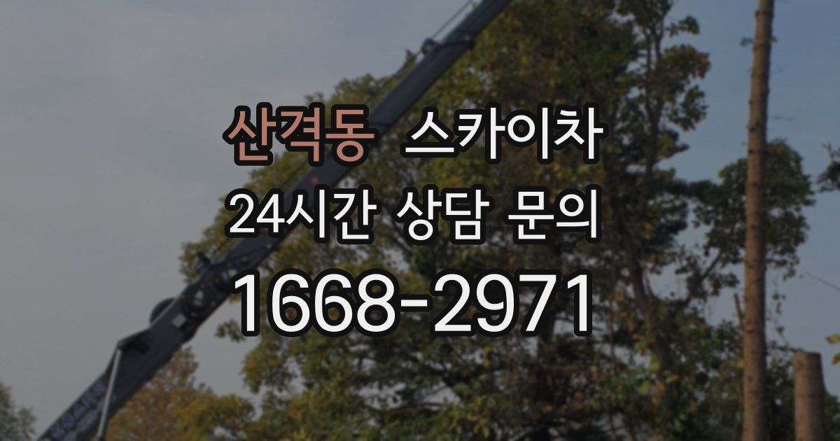 산격동 스카이차