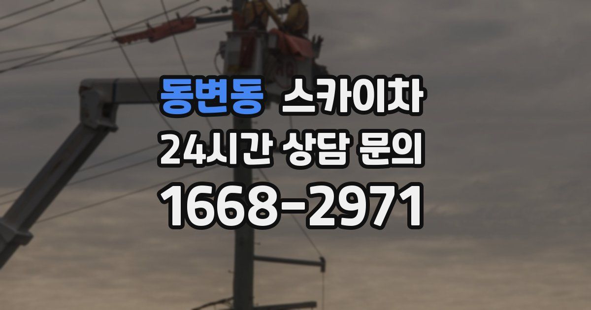 동변동 스카이차