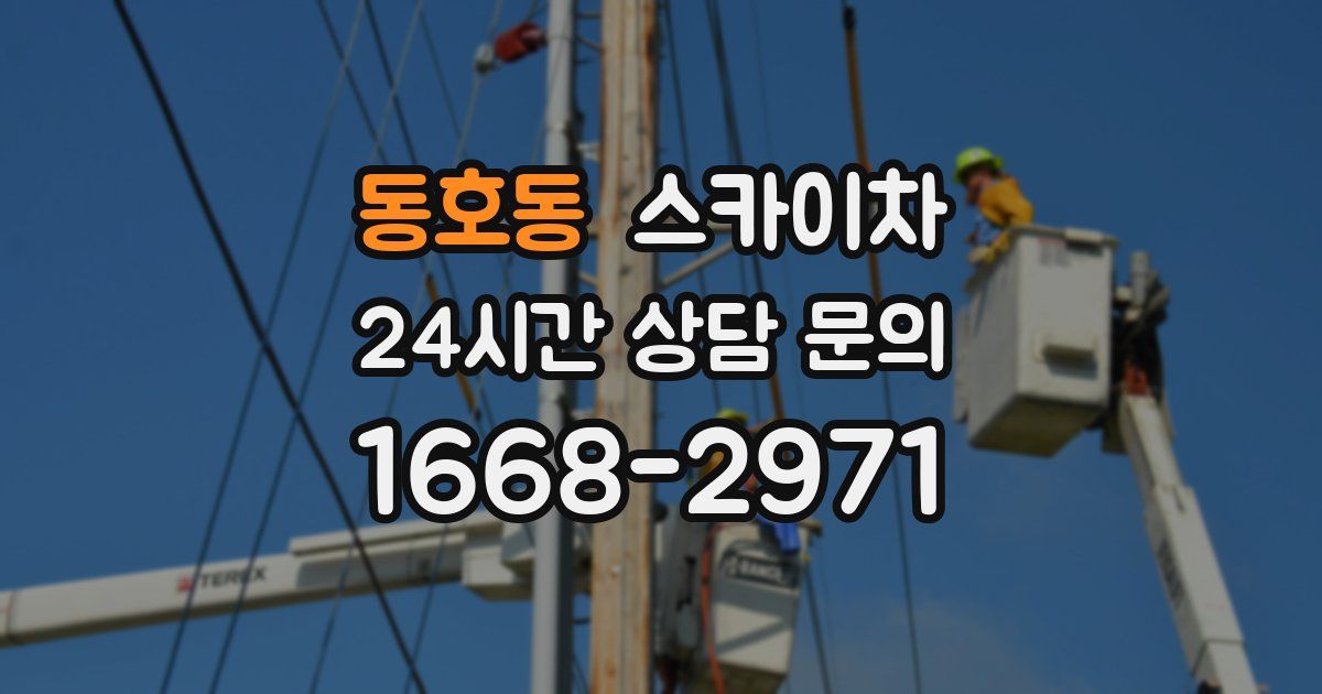 동호동 스카이차