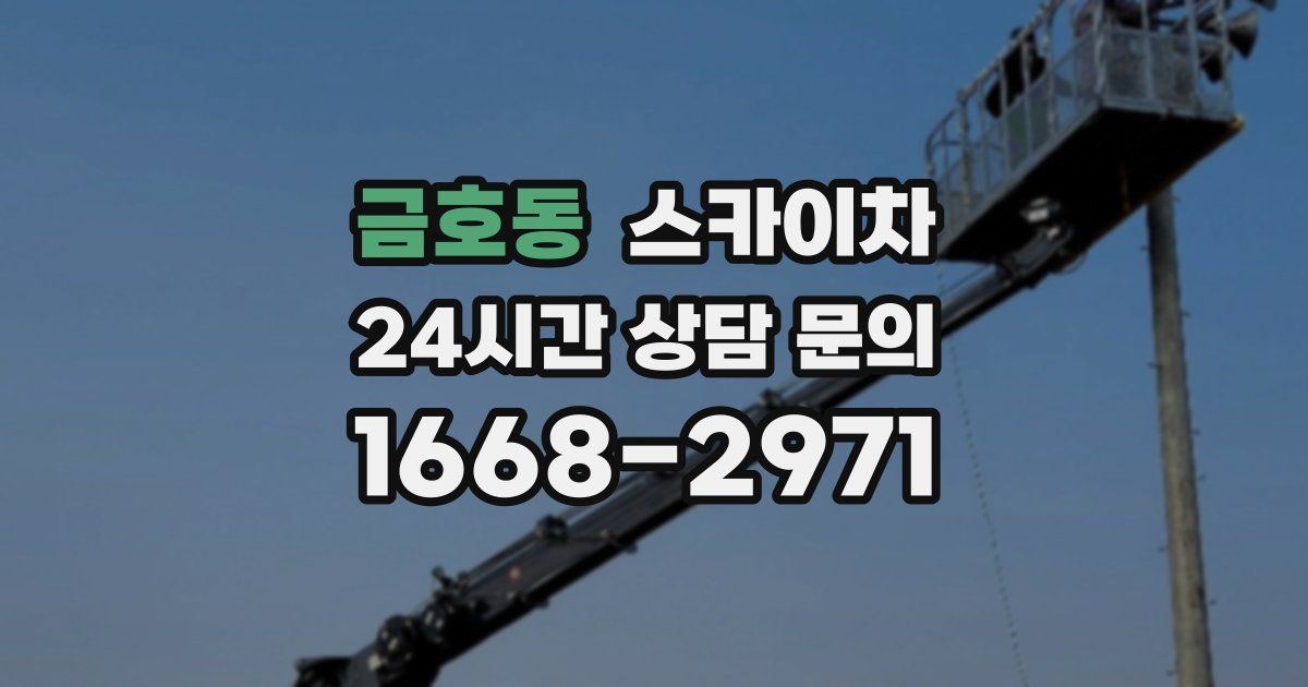 금호동 스카이차