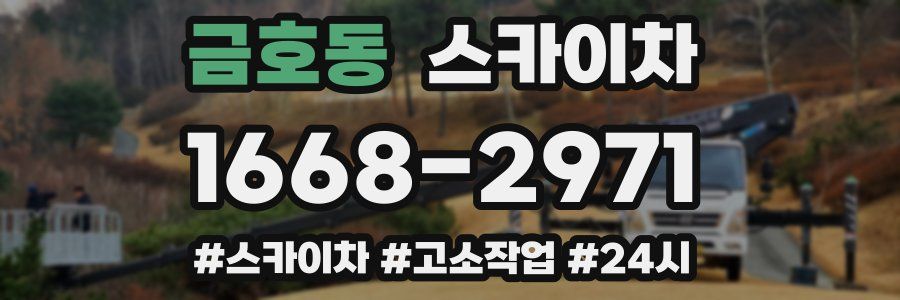 금호동 스카이차