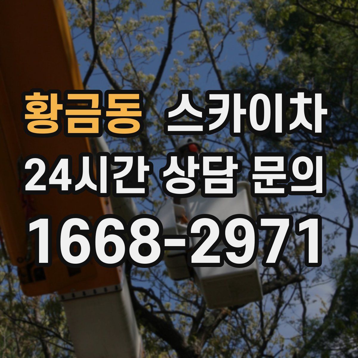 황금동 스카이차