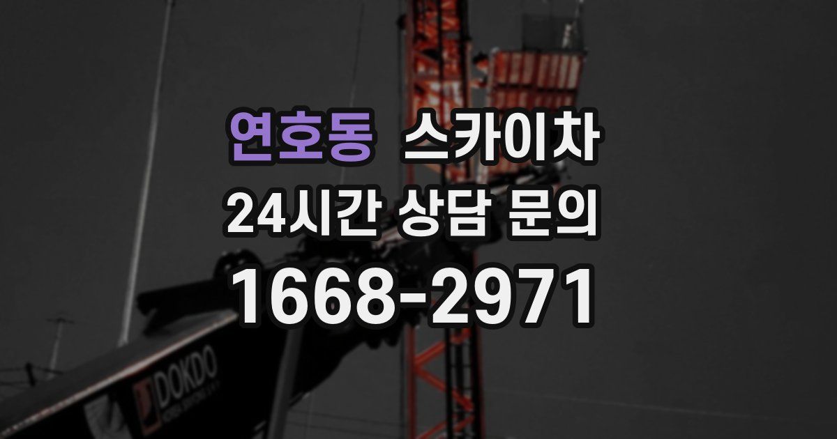 연호동 스카이차