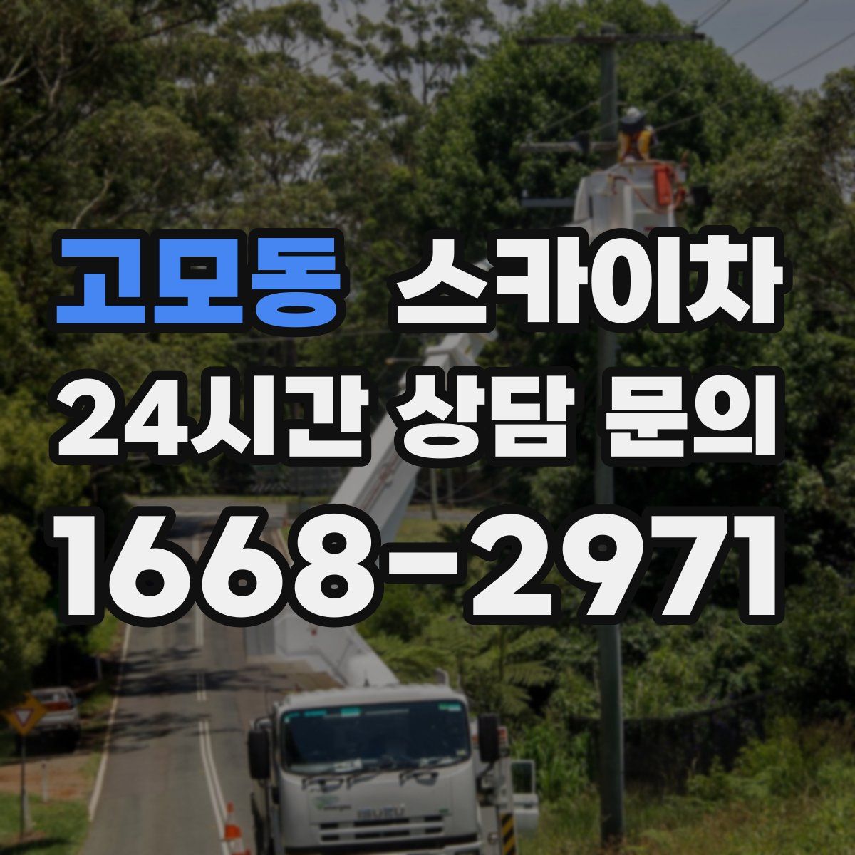 고모동 스카이차