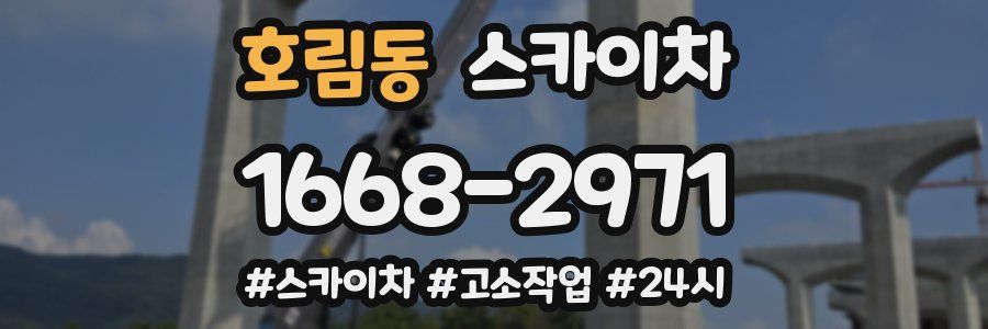 호림동 스카이차