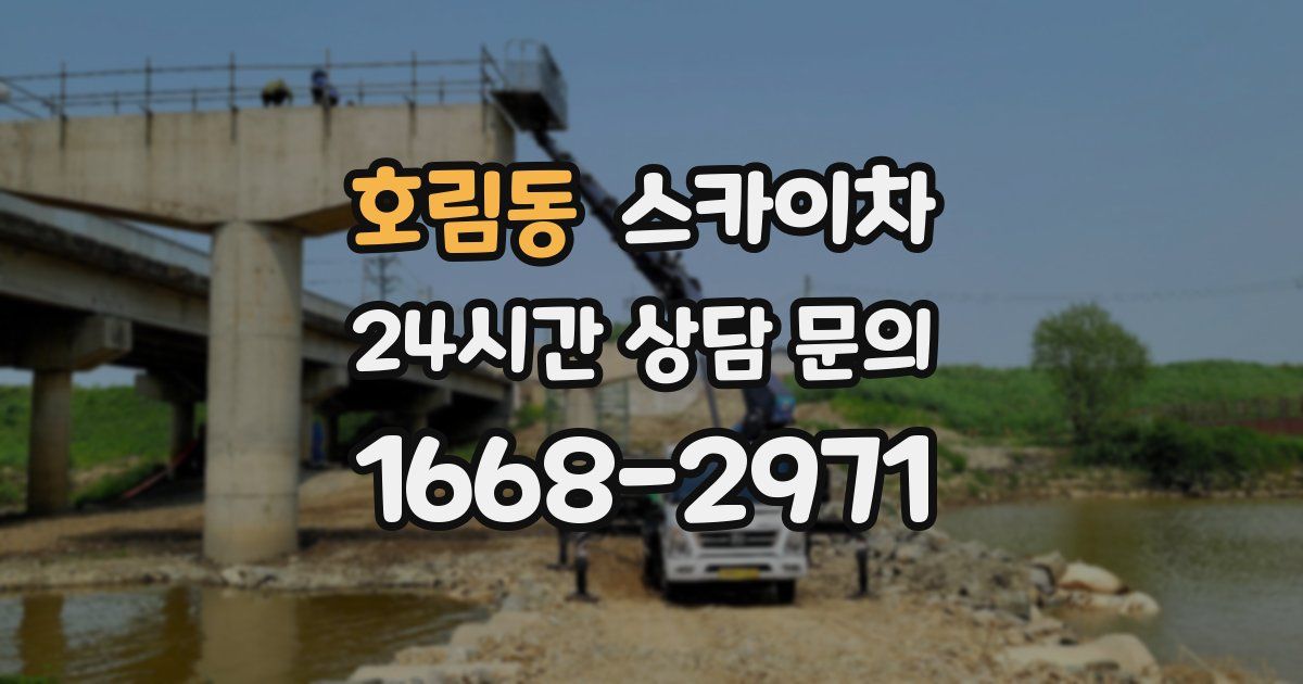 호림동 스카이차