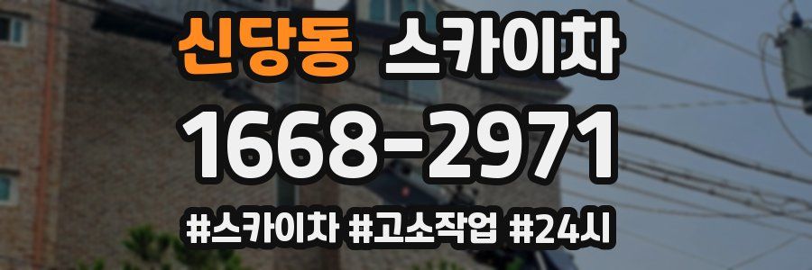 신당동 스카이차