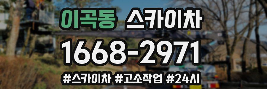 이곡동 스카이차