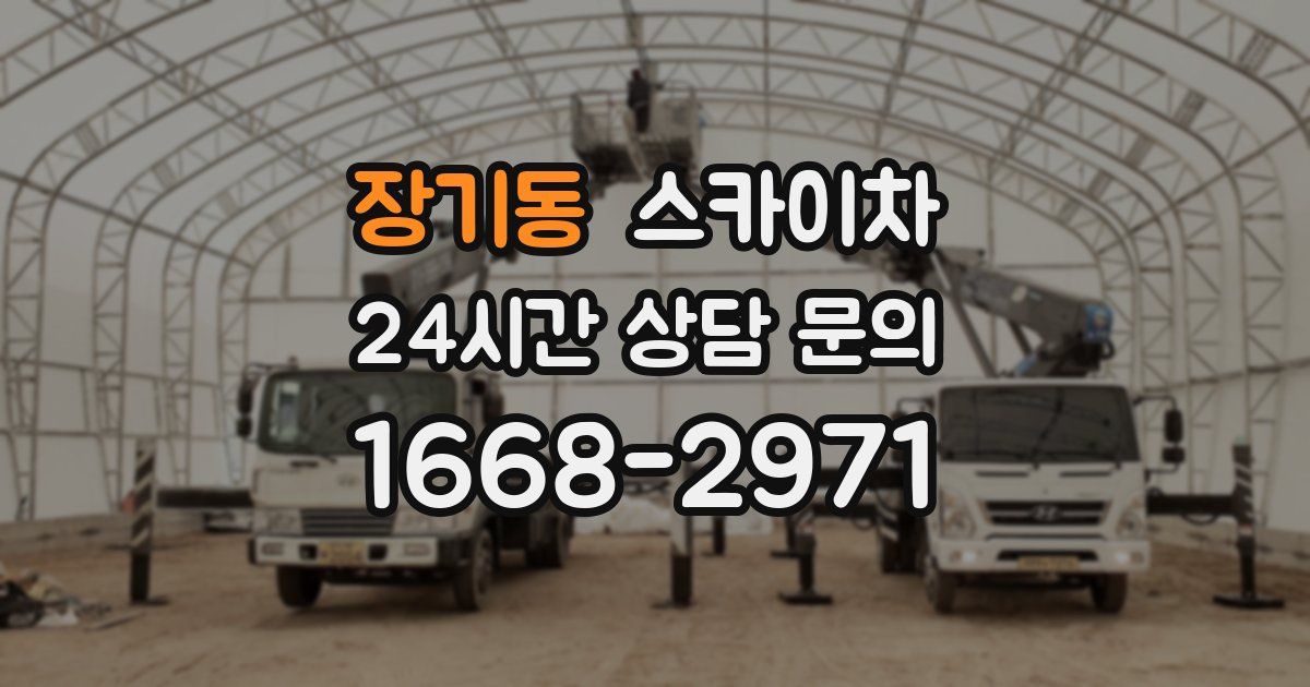 장기동 스카이차