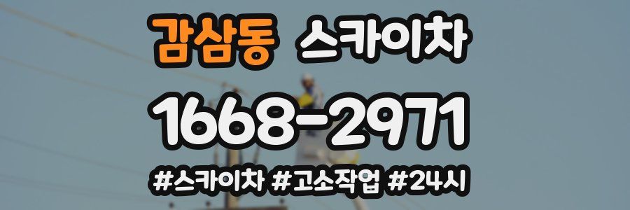 감삼동 스카이차