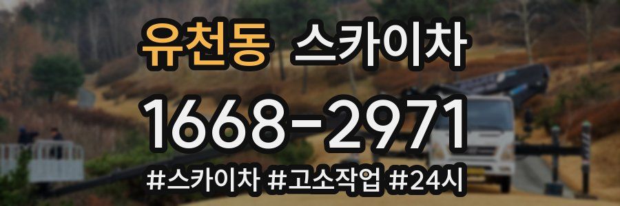 유천동 스카이차