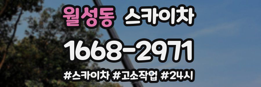 월성동 스카이차