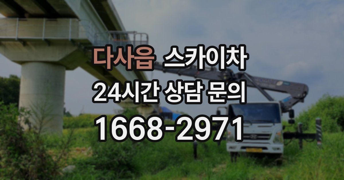 다사읍 스카이차