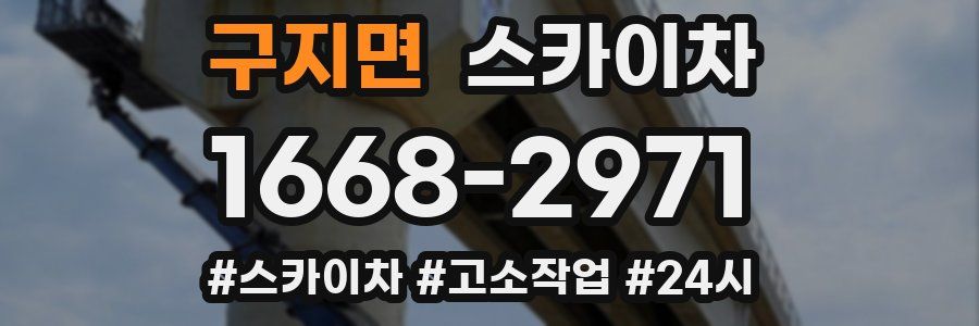 구지면 스카이차