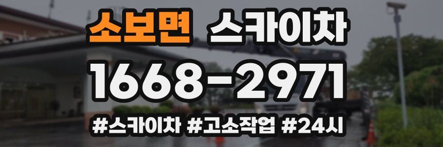 소보면 스카이차