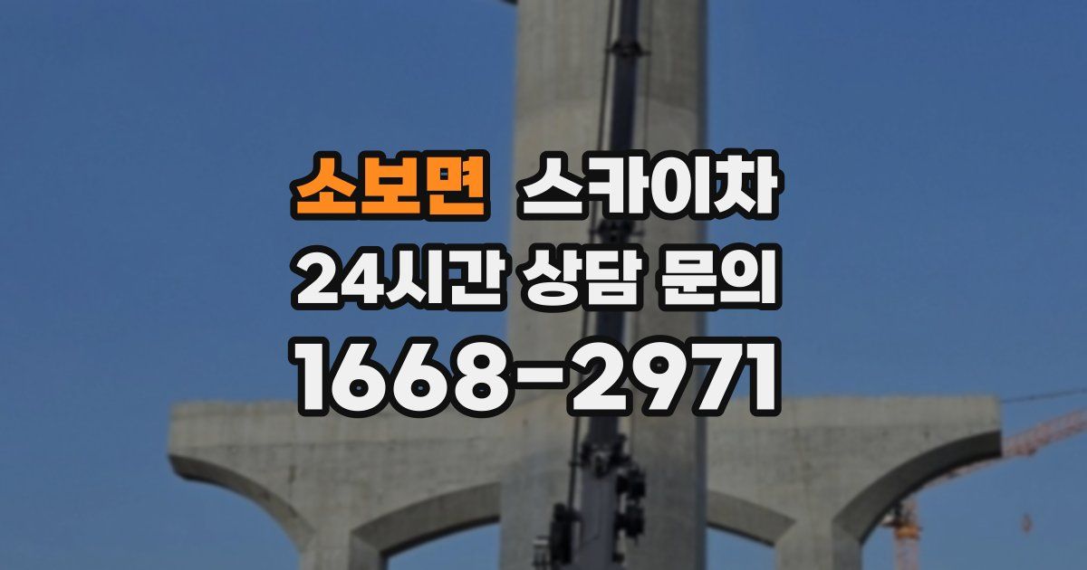 소보면 스카이차