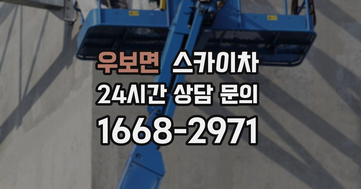 우보면 스카이차