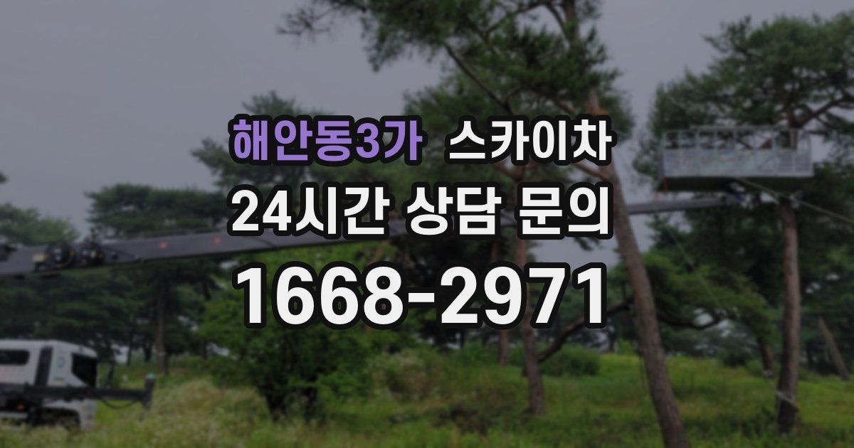 해안동3가 스카이차