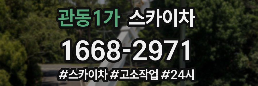 관동1가 스카이차