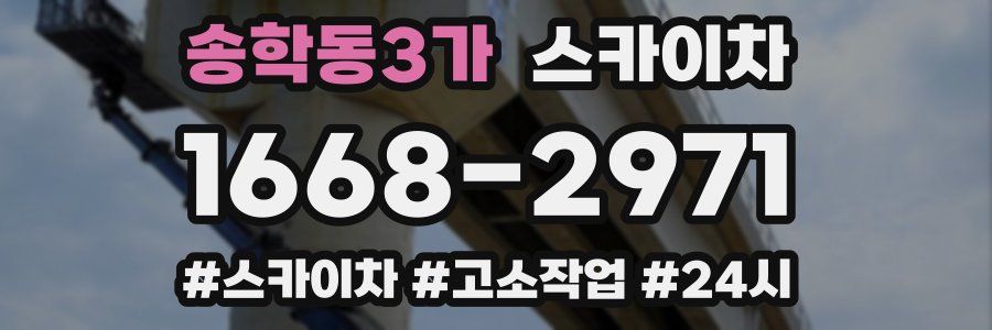 송학동3가 스카이차