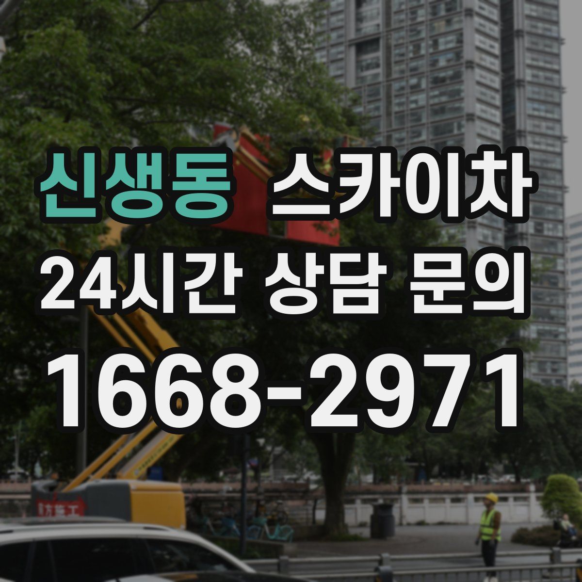 신생동 스카이차