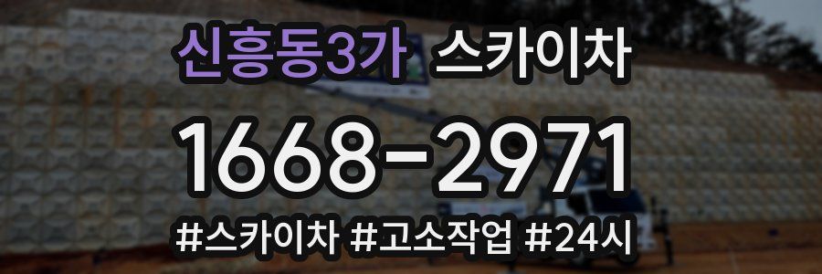 신흥동3가 스카이차