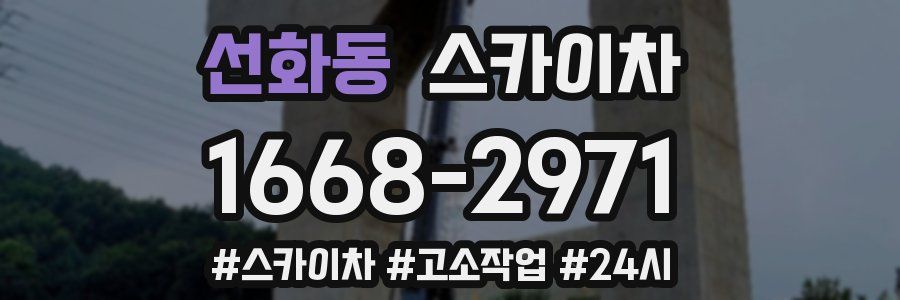 선화동 스카이차