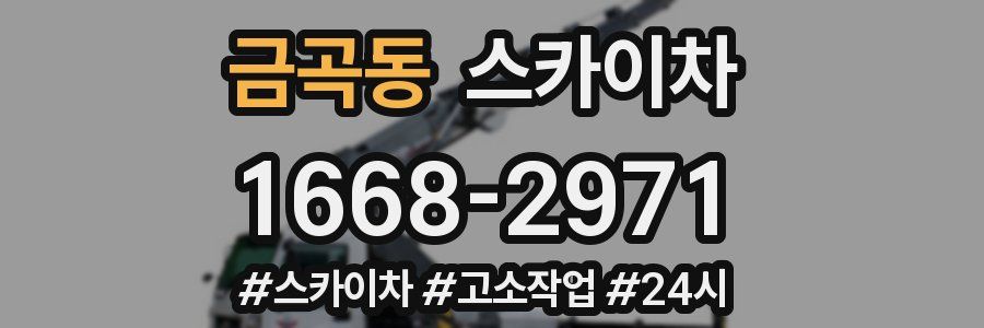 금곡동 스카이차