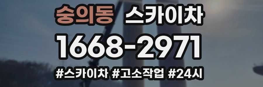 숭의동 스카이차