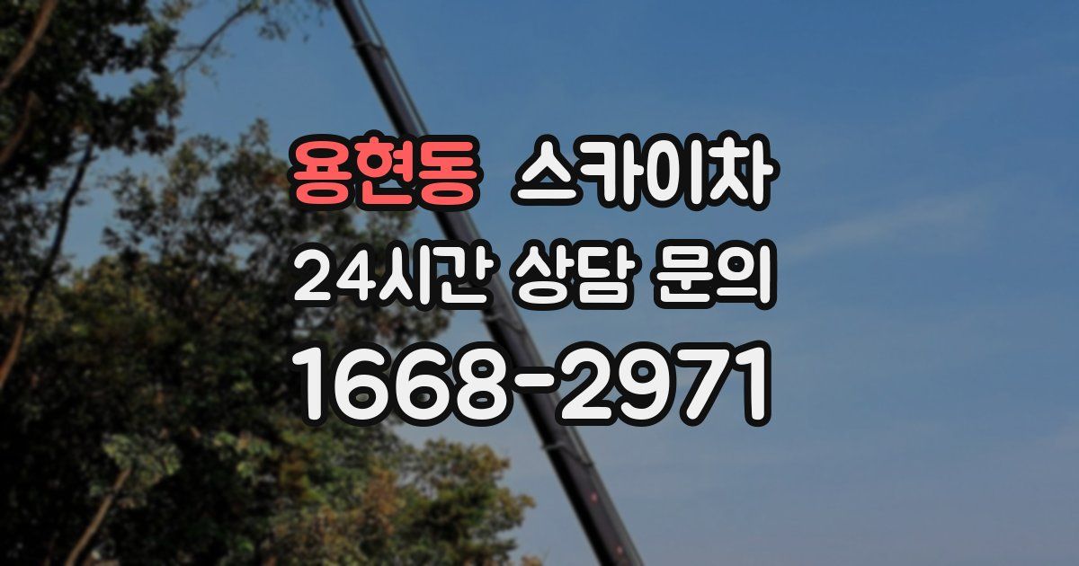 용현동 스카이차