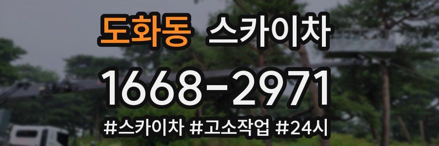 도화동 스카이차