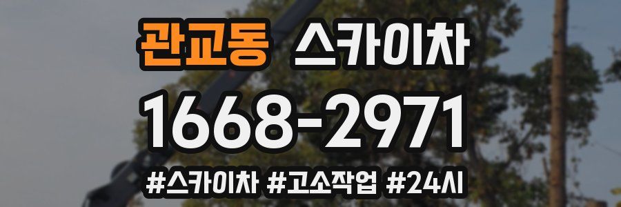 관교동 스카이차