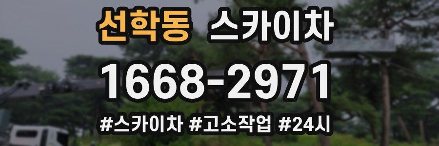 선학동 스카이차