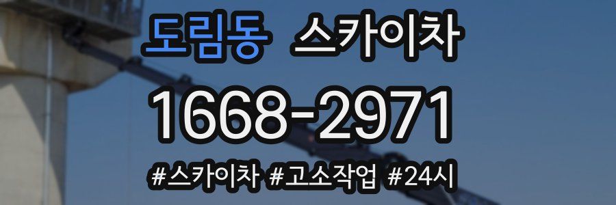 도림동 스카이차